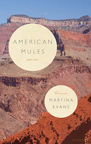 American Mules - Martina Evans [KSIĄŻKA]