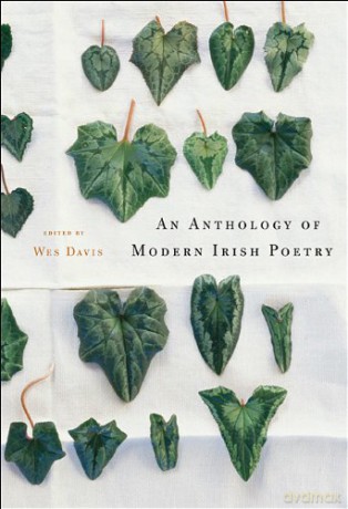 An Anthology of Modern Irish Poetry - Wes Davis [KSIĄŻKA]