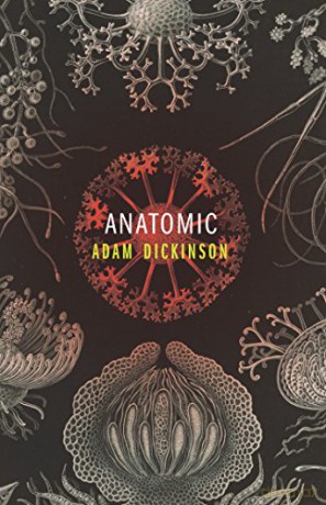 Anatomic - Adam Dickinson [KSIĄŻKA]