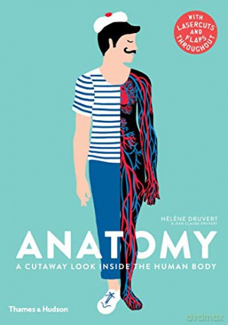 Anatomy: A Cutaway Look Inside the Human Body - Hélene Druvert [KSIĄŻKA]