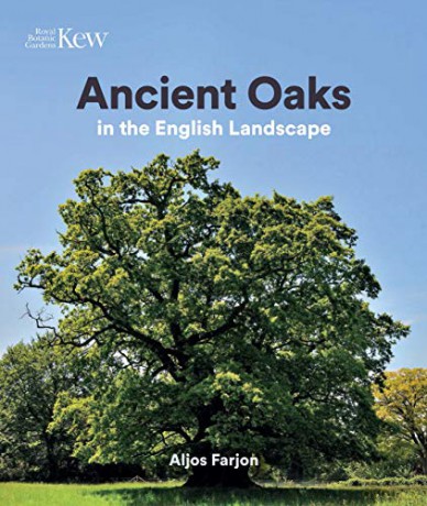 Ancient Oaks in the English landscape: In the English landscape - Aljos Farjon [KSIĄŻKA]