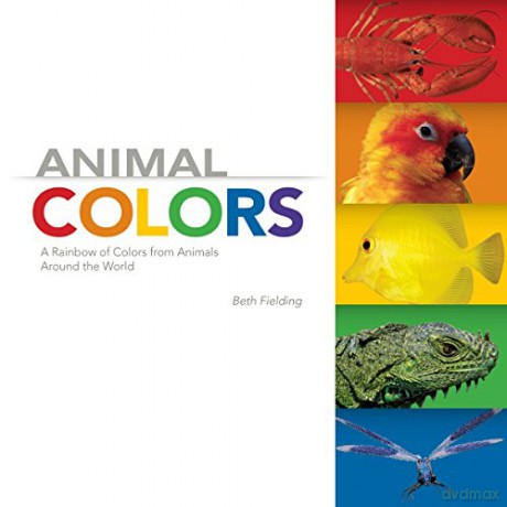 Animal Colors: A Rainbow of Colors from Animals Around the World - Beth Fielding [KSIĄŻKA]