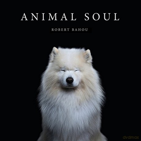 Animal Soul - Robert Bahou [KSIĄŻKA]