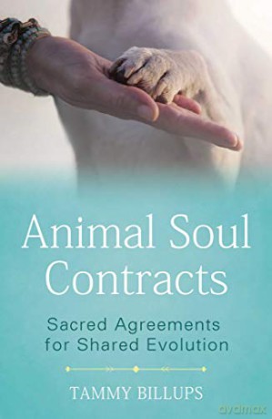 Animal Soul Contracts: Sacred Agreements for Shared Evolution - Tammy Billups [KSIĄŻKA]