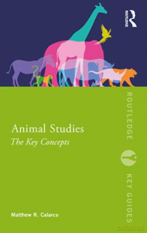 Animal Studies: The Key Concepts (Routledge Key Guides) - Matthew R. Calarco [KSIĄŻKA]