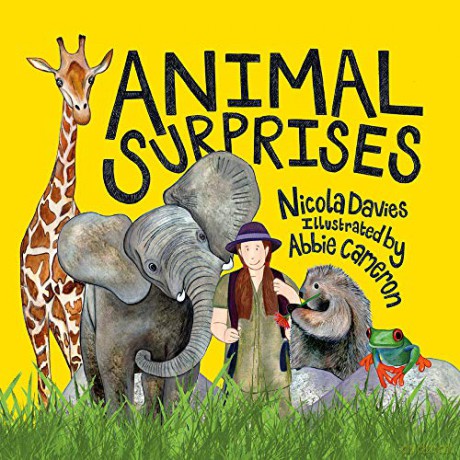 Animal Surprises - Nicola Davies [KSIĄŻKA]