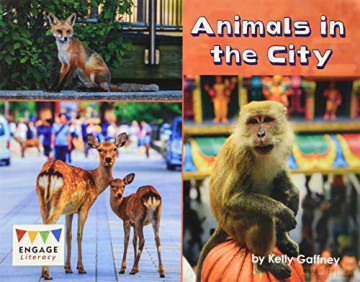 Animals in the City (Engage Literacy Turquoise) - Kelly Gaffney [KSIĄŻKA]