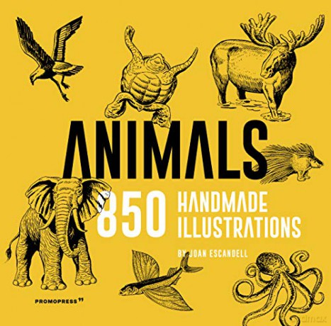 Animals: 850 Handmade Illustrations: Escandell, Joan [KSIĄŻKA]