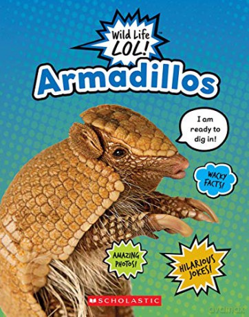 Armadillos (Wild Life Lol!) - Stephani Fitzgerald [KSIĄŻKA]
