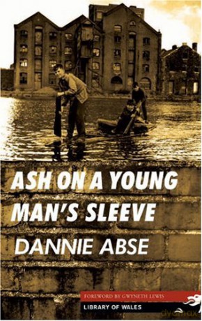 Ash on a Young Man's Sleeve (Library of Wales) - Dannie Abse [KSIĄŻKA]