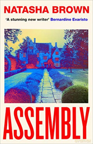Assembly: Natasha Brown - Natasha Brown [KSIĄŻKA]