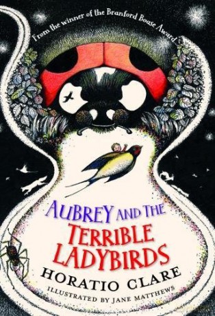 Aubrey And The Terrible Ladybirds: 2 - Horatio Clare [KSIĄŻKA]