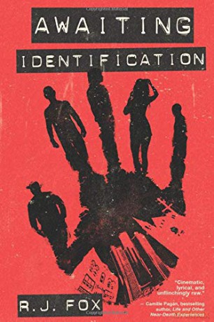 Awaiting Identification - R J Fox [KSIĄŻKA]