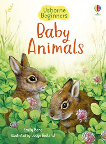 Baby Animals (Beginners): 1 - Emily Bone [KSIĄŻKA]