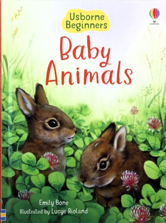 Baby Animals (Beginners): 1 - Emily Bone [KSIĄŻKA]