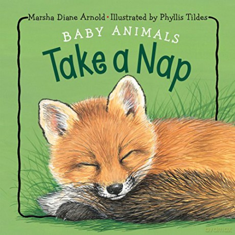Baby Animals Take a Nap - Phyllis Limbacher Tildes [KSIĄŻKA]