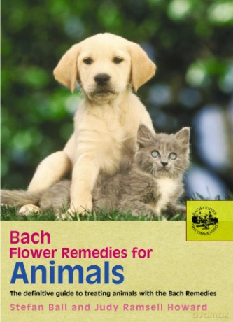 Bach Flower Remedies For Animals: The Definitive Guide to Treating Animals with the Bach Remedies - Judy Howard [KSIĄŻKA]