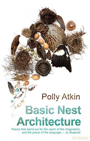 Basic Nest Architecture - Polly Atkin [KSIĄŻKA]