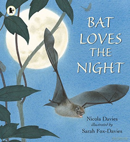 Bat Loves the Night: 1 - Nicola Davies [KSIĄŻKA]