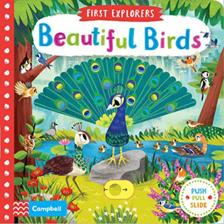 Beautiful Birds (First Explorers) [KSIĄŻKA]