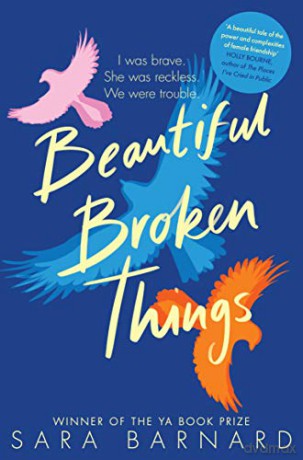 Beautiful Broken Things (Beautiful Broken Things 1) - Sara Barnard [KSIĄŻKA]