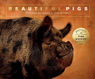 Beautiful Pigs: Portraits of champion breeds (Beautiful Animals) - Andy Case [KSIĄŻKA]