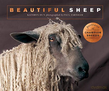 Beautiful Sheep: Portraits of champion breeds (Beautiful Animals) - Kathryn Dun [KSIĄŻKA]
