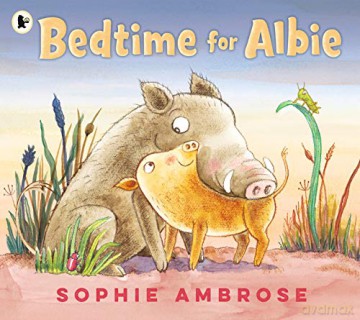 Bedtime for Albie - Sophie Ambrose [KSIĄŻKA]