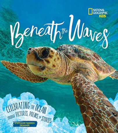 Beneath the Waves: Celebrating the Ocean Through Pictures, Poems, and Stories [KSIĄŻKA]