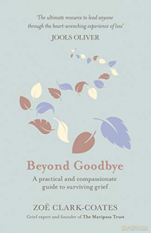 Beyond Goodbye: A practical and compassionate guide to surviving grief, with day-by-day resources to navigate a path through loss - Zoë Clark-Coates [KSIĄŻKA]