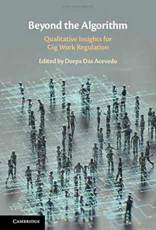 Beyond the Algorithm: Qualitative Insights for Gig Work Regulation - Deepa Das Acevedo [KSIĄŻKA]