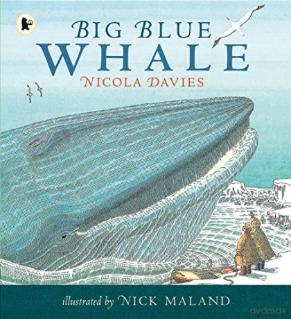 Big Blue Whale: 1 (Nature Storybooks) - Nicola Davies [KSIĄŻKA]