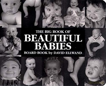 Big Book of Beautiful Babies Board Book - David Ellwand [KSIĄŻKA]