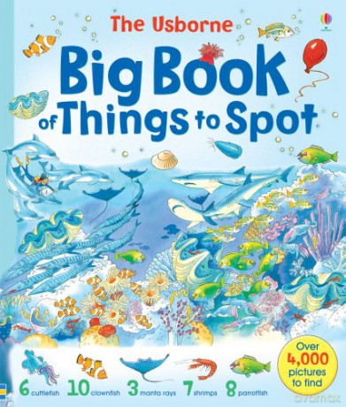 Big Book of Things to Spot (1001 Things to Spot) - Fiona Watt [KSIĄŻKA]