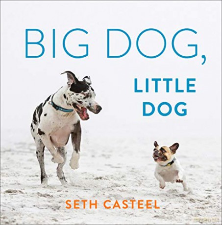 Big Dog, Little Dog - Seth Casteel [KSIĄŻKA]