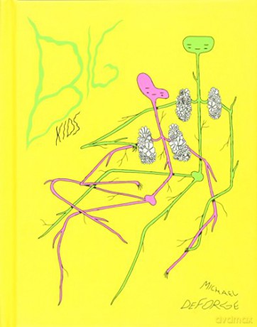 Big Kids: Teenaged Misfits and Adolescent Rabble-Rousing Take Center Stage in This Dark Coming of Age Tale - Michael DeForge [KSIĄŻKA]