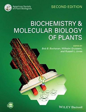 Biochemistry and Molecular Biology of Plants [KSIĄŻKA]