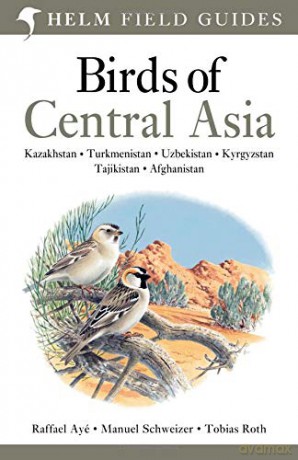 Birds of Central Asia (Helm Field Guides) - Manuel Schweizer [KSIĄŻKA]