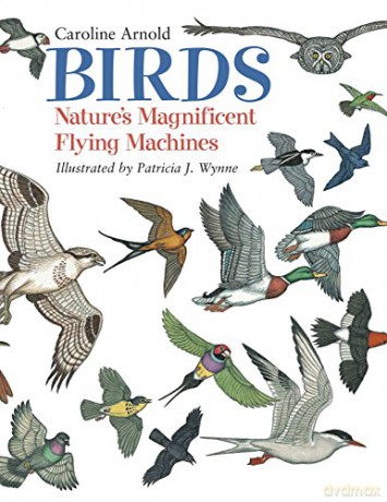 Birds: Nature's Magnificent Flying Machines - Caroline Arnold [KSIĄŻKA]