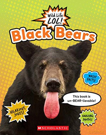 Black Bears (Wild Life Lol!) - Stephani Fitzgerald [KSIĄŻKA]