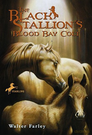 Black Stallion's Blood Bay Colt (Black Stallion (Paperback)): (Reissue) - Walter Farley [KSIĄŻKA]
