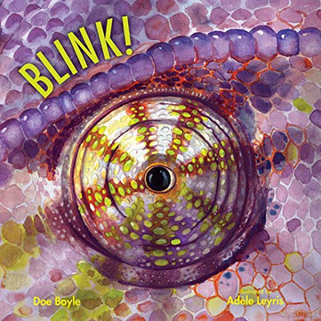 Blink! (Imagine This!) - Doe Boyle [KSIĄŻKA]