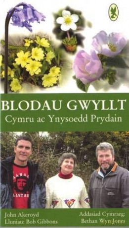 Blodau Gwyllt Cymru ac Ynysoedd Prydain - John Akeroyd [KSIĄŻKA]