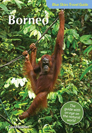 Blue Skies Travel Guide: Borneo - David Bowden [KSIĄŻKA]