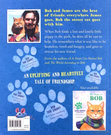 Bob to the Rescue: An Illustrated Picture Book - James Bowen [KSIĄŻKA]