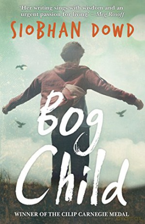 Bog Child - Siobhan Dowd [KSIĄŻKA]