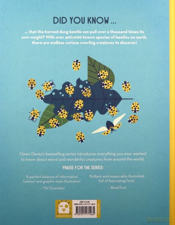 Bonkers About Beetles: 4 (Owen Davey Animal Series) - Owen Davey [KSIĄŻKA]