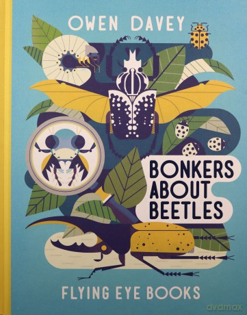 Bonkers About Beetles: 4 (Owen Davey Animal Series) - Owen Davey [KSIĄŻKA]