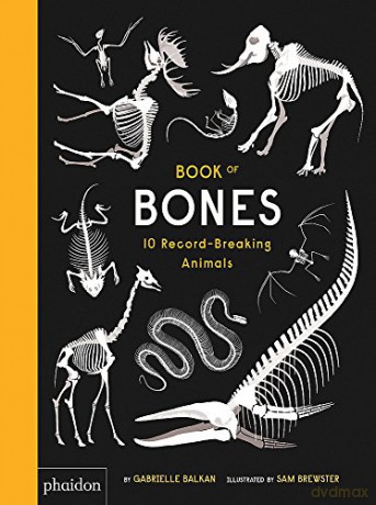 Book of Bones: 10 Record-Breaking Animals - Gabrielle Balkan [KSIĄŻKA]