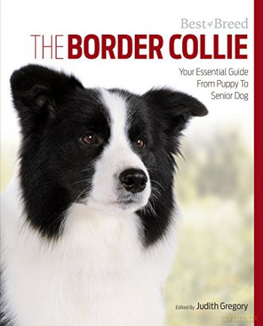 Border Collie Best of Breed: Your Essential Guide from Puppy to Senior Dog - Judith Gregory [KSIĄŻKA]